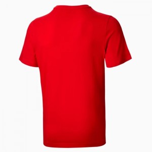 Camiseta Puma Essentials Small Logo Hombre Rojos | 34751-PFUH
