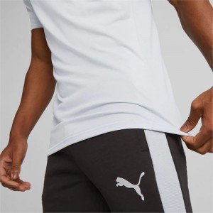 Camiseta Puma Evostripe Tee Hombre Plateadas Grises | 65241-XPBD