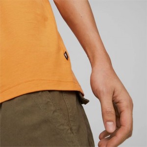 Camiseta Puma GRAPHICS Reflective Tee Hombre Desert Clay | 98740-OKBY
