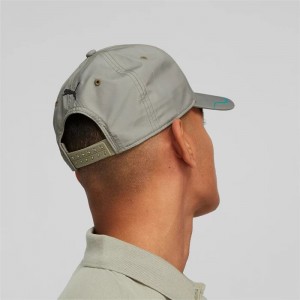 Gorras Puma Mercedes-AMG Petronas Motorsport Mujer Birch Tree | 58317-ZYIB