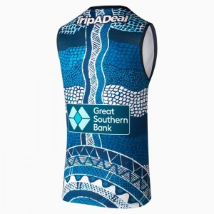 Guernseys Puma Carlton Football Club Replica Indigenous Hombre Azul Marino | 82756-KNCY