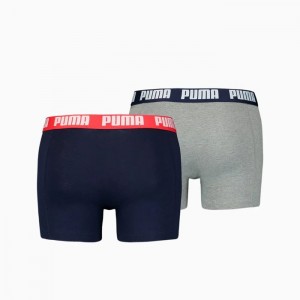 Ropa Interior Puma Basic Boxers 2 Pack Hombre Azules Grises | 63710-RSJO