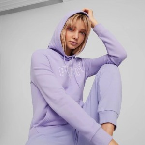 Sudadera con Capucha Puma Essentials+ Mujer Morados | 42859-CPWY