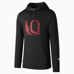 Sudadera con Capucha Puma Queensland Maroons Unisex Graphic Mujer Grises Oscuro | 60254-DTHW